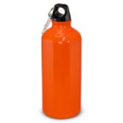 Picture of Intrepid Bottle