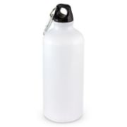 Picture of Intrepid Bottle